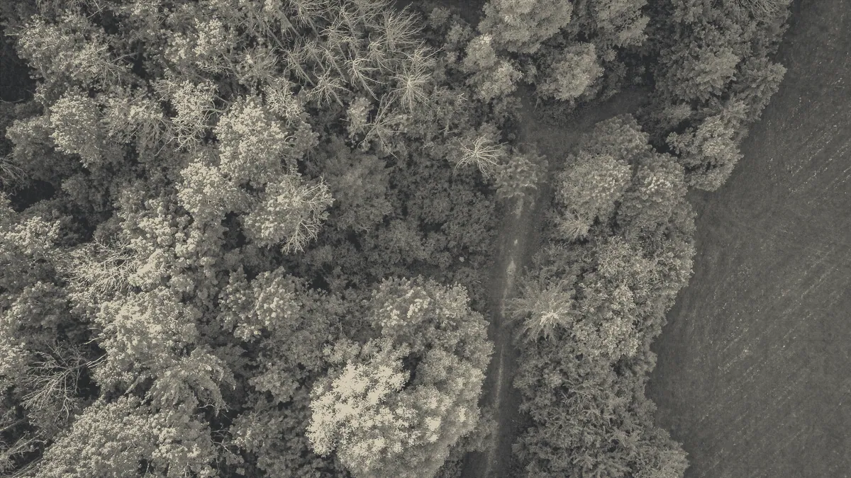 A runner on a trail, photographed from above.
