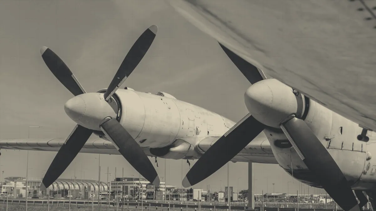 Propeller blades, close.